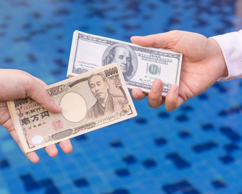 有外匯分析師認為日元或成避險新寵。網上圖片