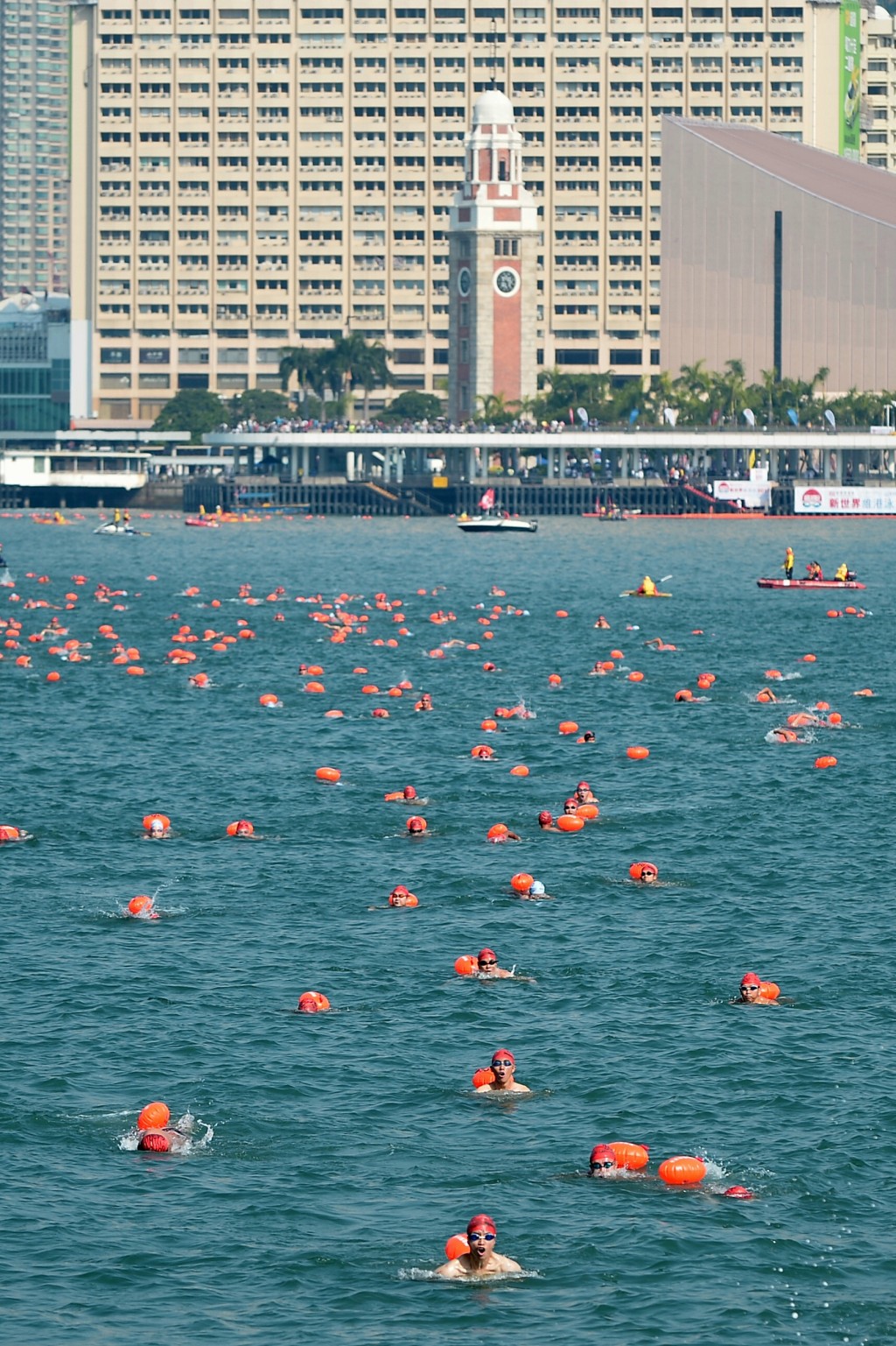 「維港渡海泳」本周日(10月23日)舉行。資料圖片