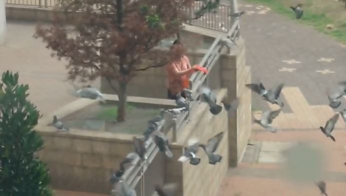 女子將整袋飼料倒在地面。讀者提供