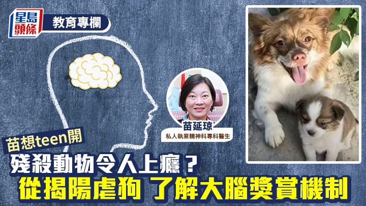 苗延琼 - 殘殺動物令人上癮？從揭陽虐狗 了解大腦獎賞機制｜苗想teen開