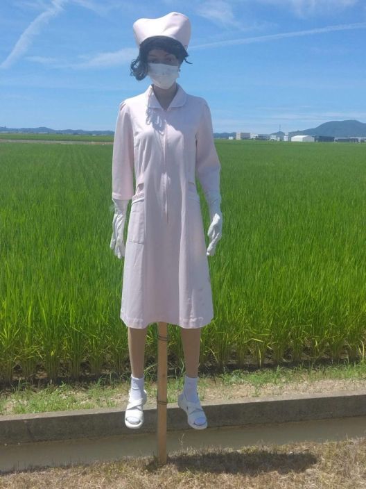 日本網民分享農田另類「稻草人」。網圖