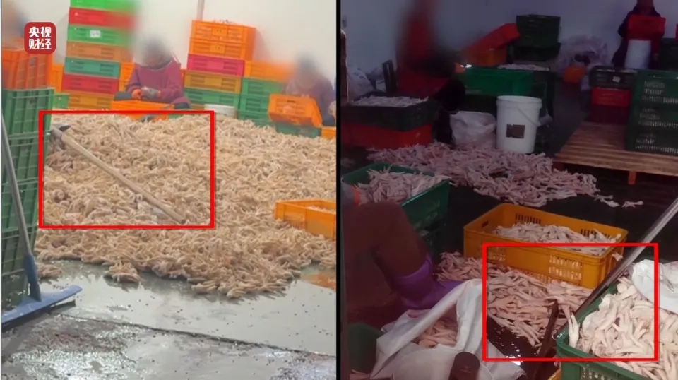 内地黑心凤爪以双氧水漂白,厂房虫鼠横行,工人自己不敢吃。 内地黑心凤爪以双氧水漂白,厂房虫鼠横行,工人自己不敢吃。