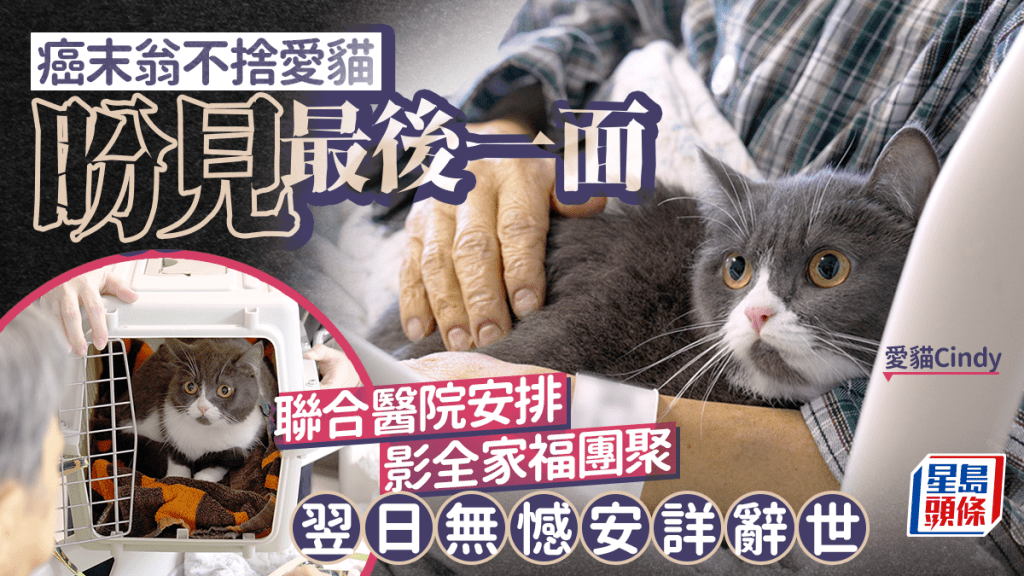 癌末翁不捨愛貓盼見最後一面 聯合醫院安排影全家福團聚 翌日無憾安詳辭世 