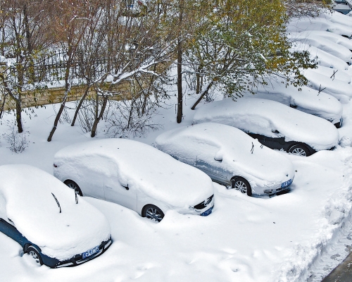 東北暴雪，瀋陽街上私家車被雪覆蓋。