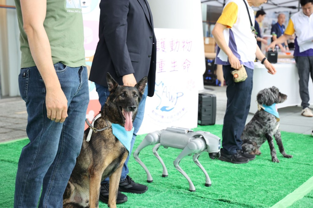 環保署「智能機械犬」與真犬「狗狗社區大使」同台進行服從示範大比拼，結合科技創新傳揚「愛護動物」精神。