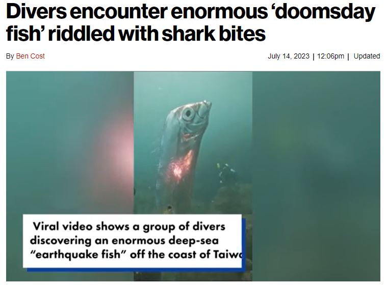  外媒广泛地道，台湾潜水员在东北角浅海发现“地震鱼” 。  New York Post截图
