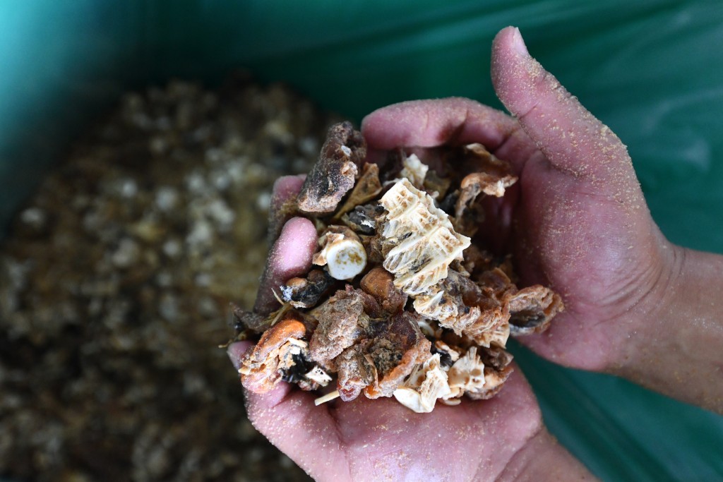 廚餘可以轉化為動物飼料。資料圖片 廚餘可以轉化為動物飼料。資料圖片