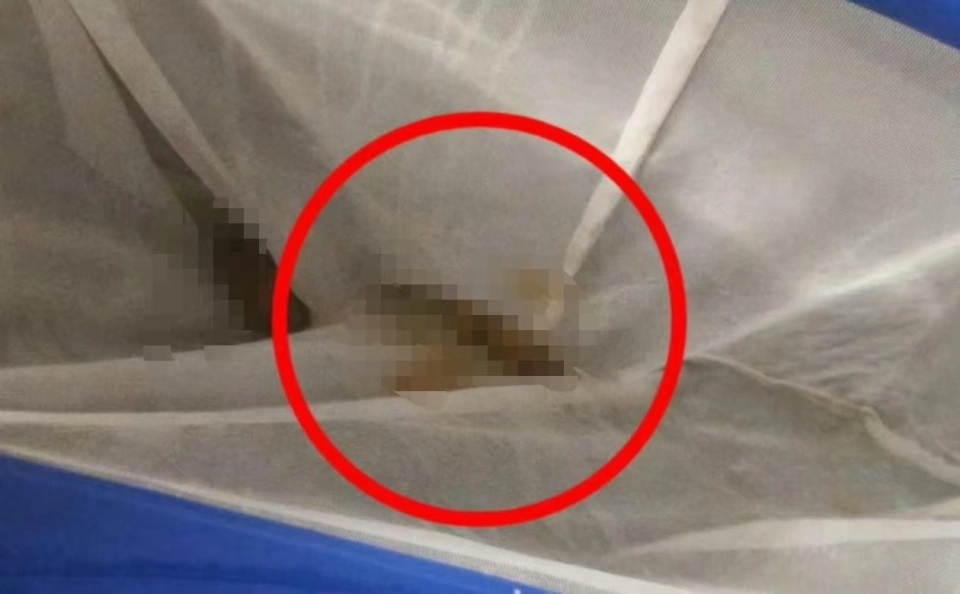 工作人员打捞后发现确实是粪便。潇湘晨报