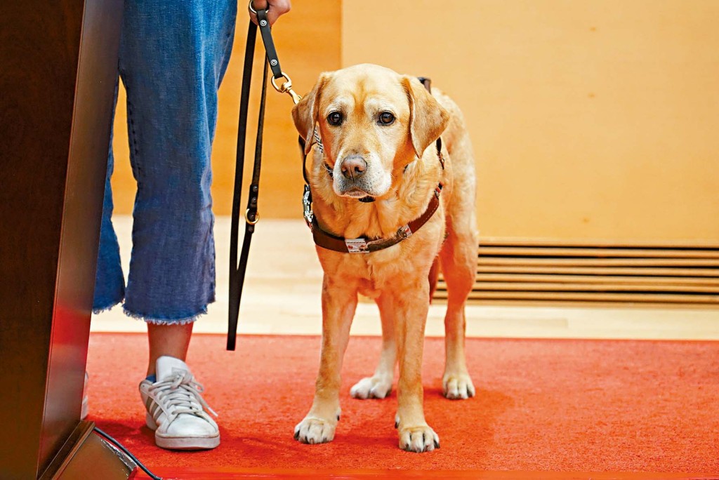 在工作坊，視障人士亦分享當市民面對導盲犬時，應採取「三不一問」的態度，即不干擾、不餵食、不拒絕和主動詢問。