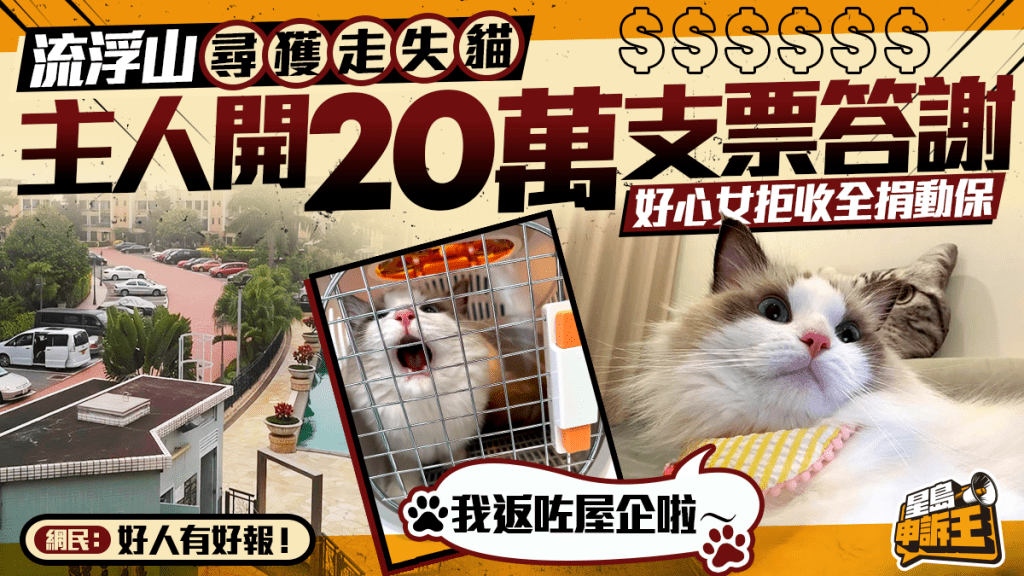 流浮山尋獲走失貓 主人開20萬支票答謝 好心女拒收全捐動保 | 星島申訴王