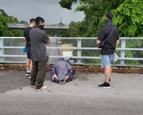 警方於新田截車拘捕四名男子。