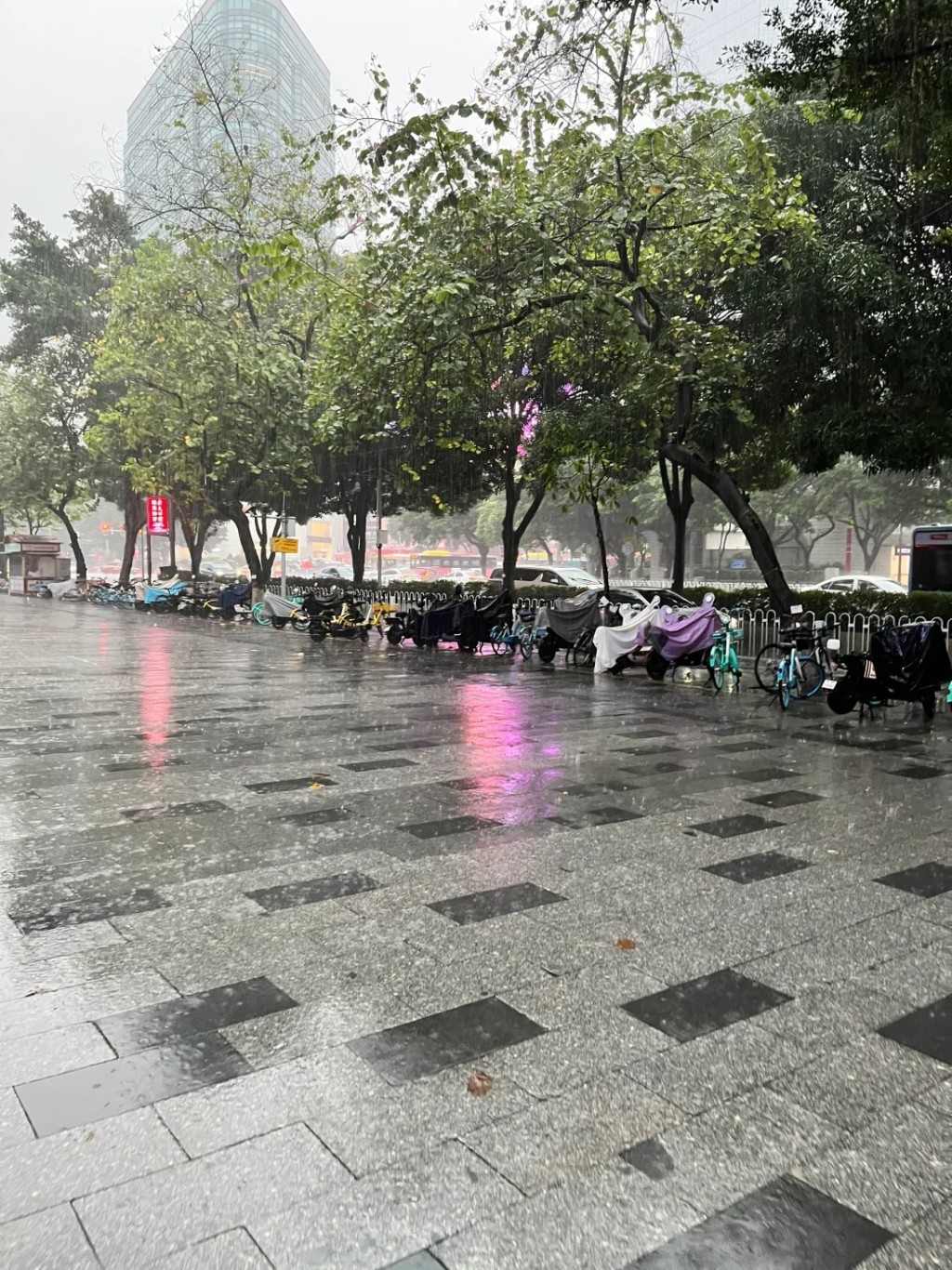 深圳周日早上多個地區下暴雨。小紅書