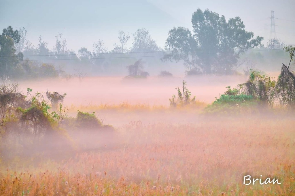 天文台指「日出地雾」系一种靠近地面，好似仙境咁靓嘅雾。图片授权Brian Chiu