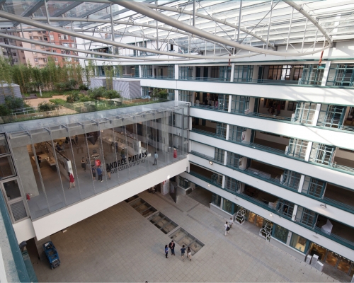 中西区区议员指PMQ元创方一带不适合设行人专用区，担心会成滋扰「重灾区」。 资料图片