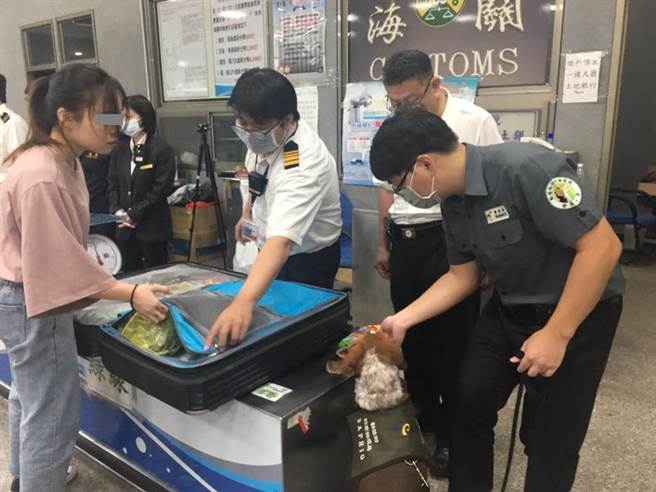 台湾桃园机场海关早前揭发有港人企图运毒品入境。示意图。中时