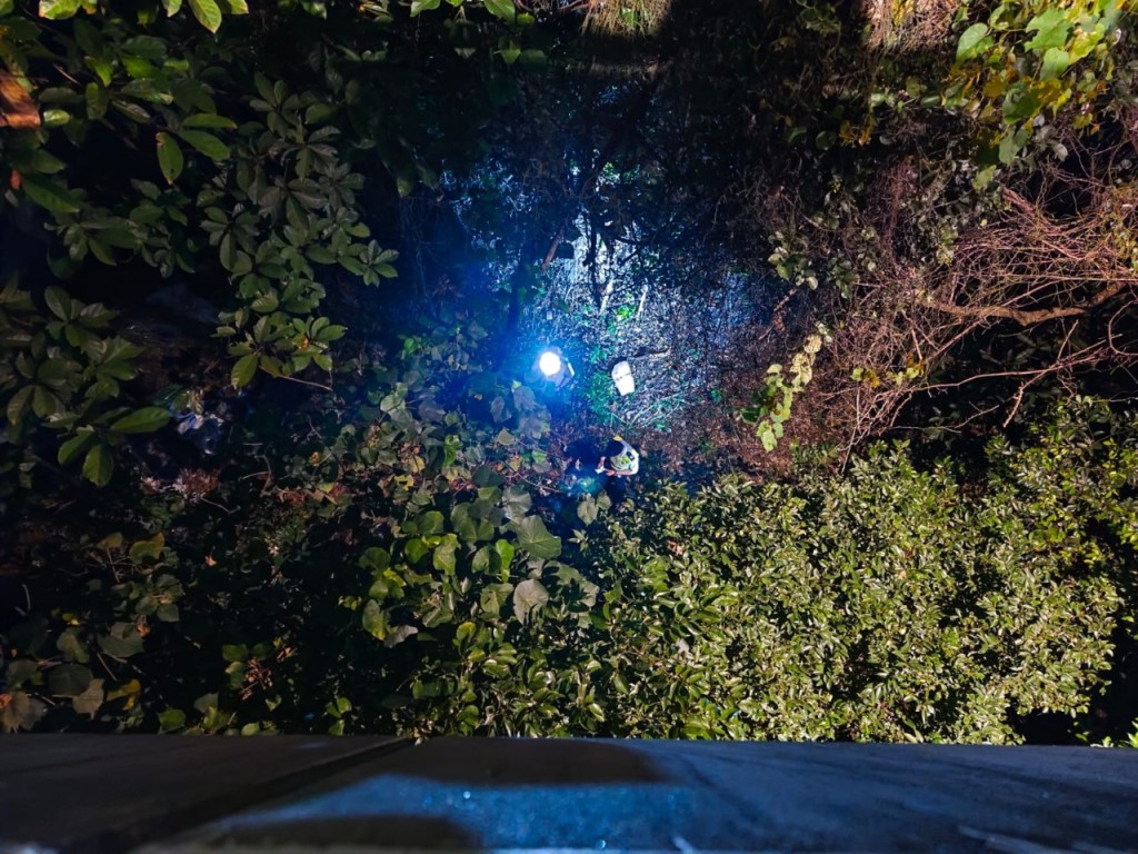 受傷警員倒地位置距離橋面約15米。 受傷警員倒地位置距離橋面約15米。