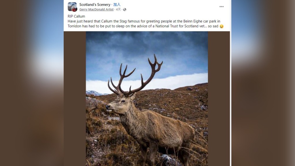 蘇格蘭傳奇網紅鹿卡勒姆，因遭遊客過度及不適當餵食遭安樂死。
