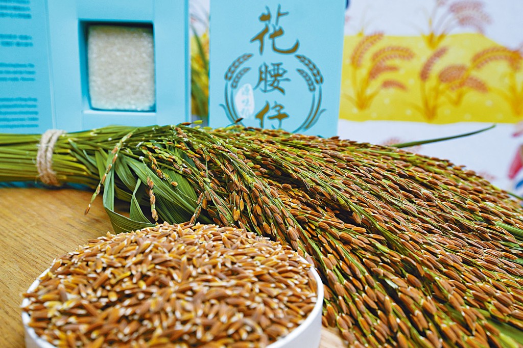 「花腰仔」粒粒分明，並帶有淡淡的雲呢拿香味。
