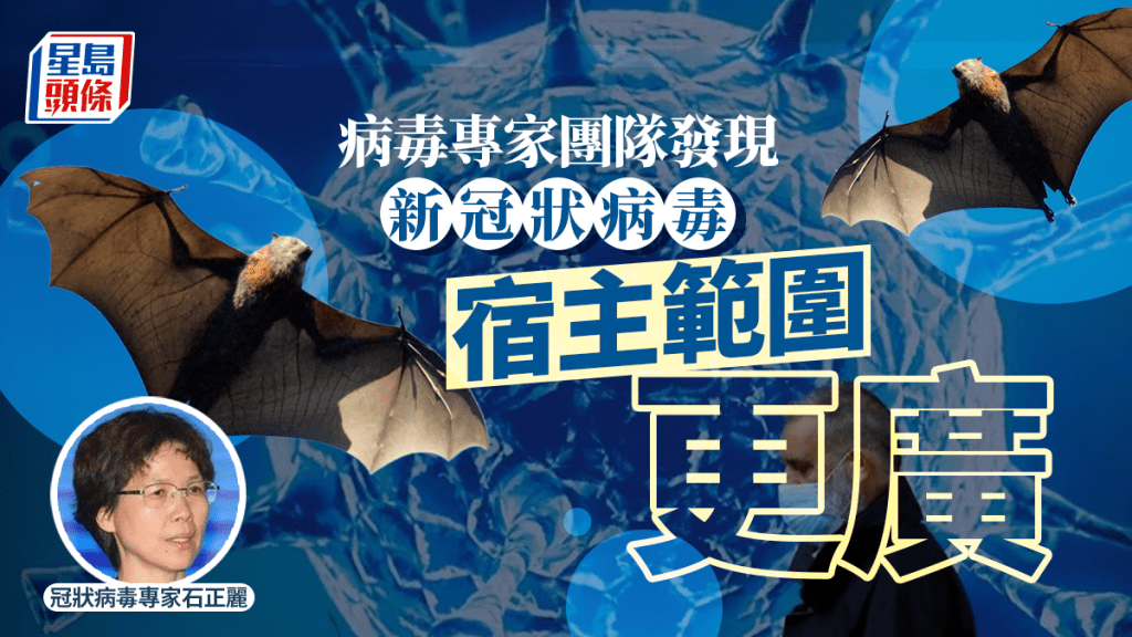 武漢病毒研究所石正麗再發現新冠狀病毒　類似新冠病毒宿主範圍更廣