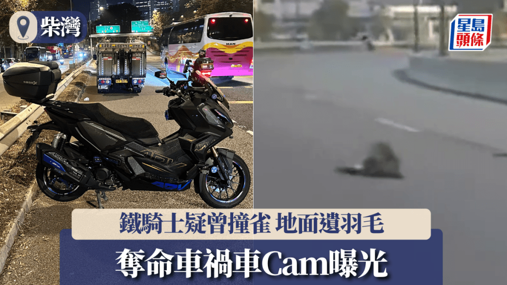 柴灣奪命車禍｜車Cam揭鐵騎士疑撞雀後撼欄 警方路面蒐證發現羽毛