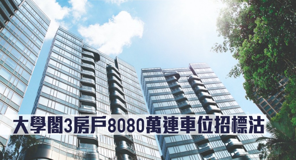 大學閣3房戶8080萬連車位招標沽。