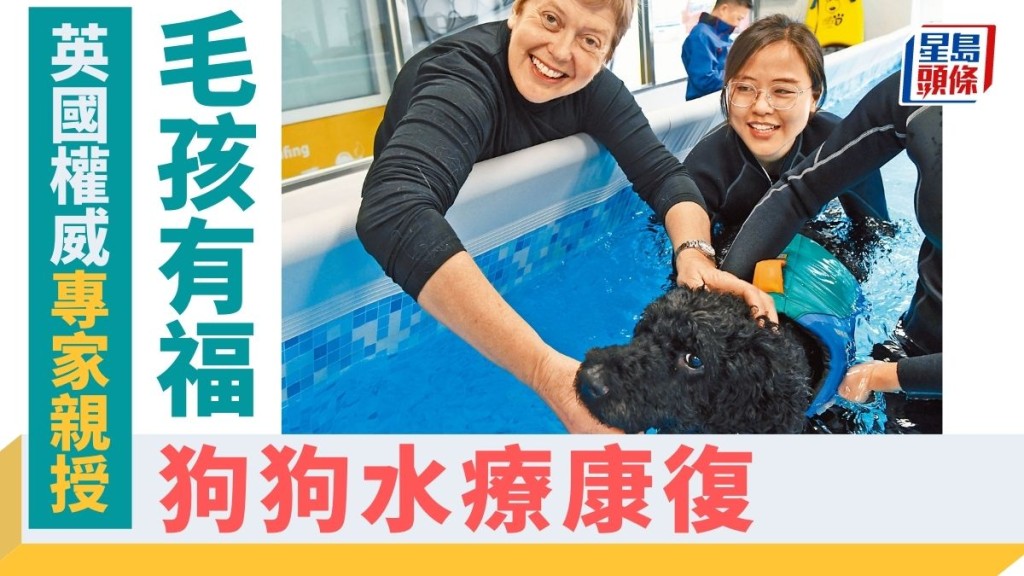 狗狗水療復康 | 英國權威專家親授 毛孩有福