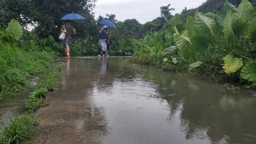 上水天平山村今日曾經水浸。