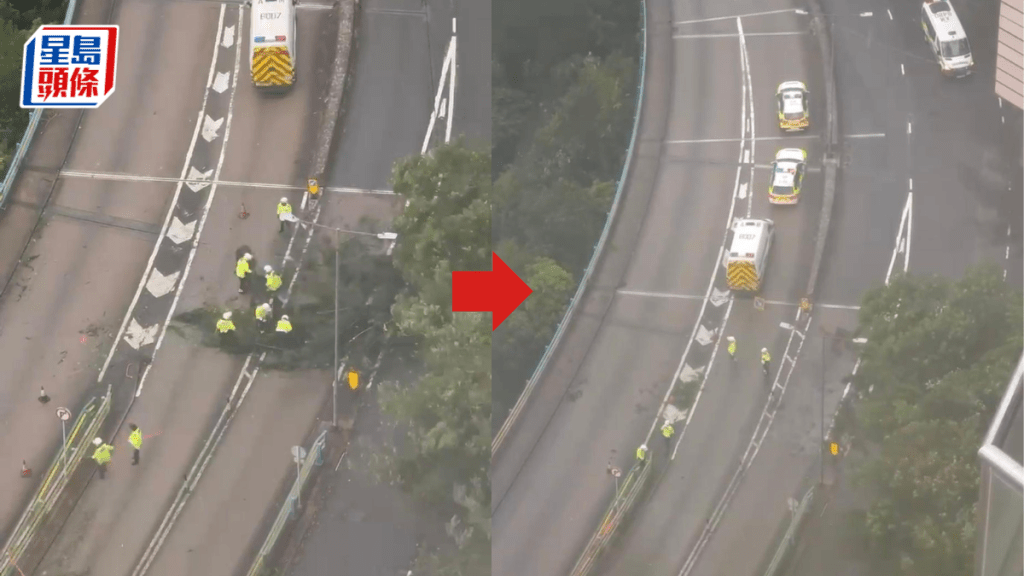 颱風樺加沙︱黃泥涌峽道塌樹橫亘路中 交警風雨下清理重回暢通