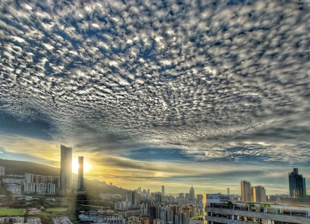 欣澳。社区天气观测计划 Sai Kit 图片