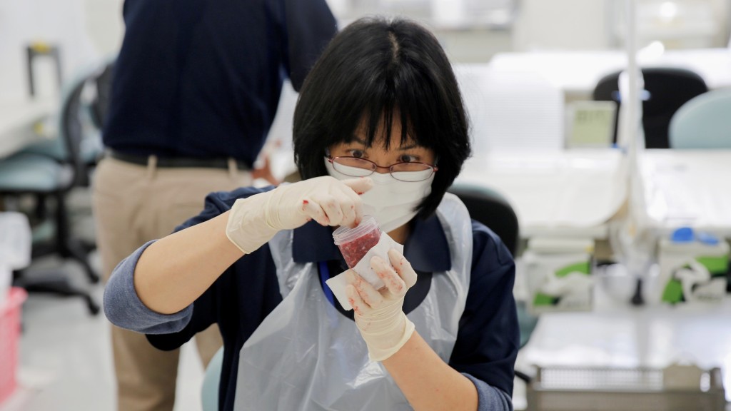 日本實驗室技術人員將福島飼養的牛肉碎放入容器，準備進行銫測試。 路透社