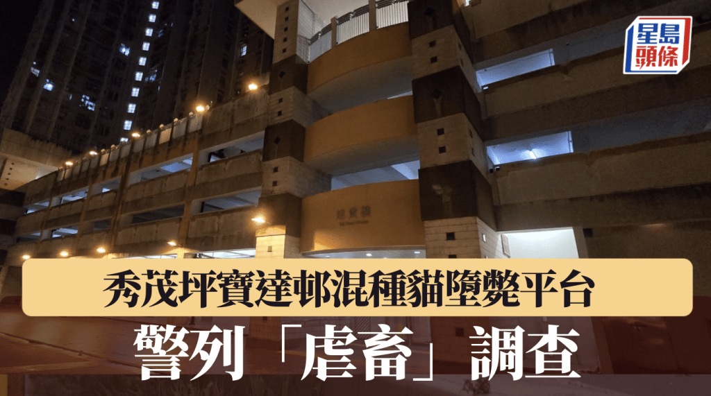 黎志偉攝