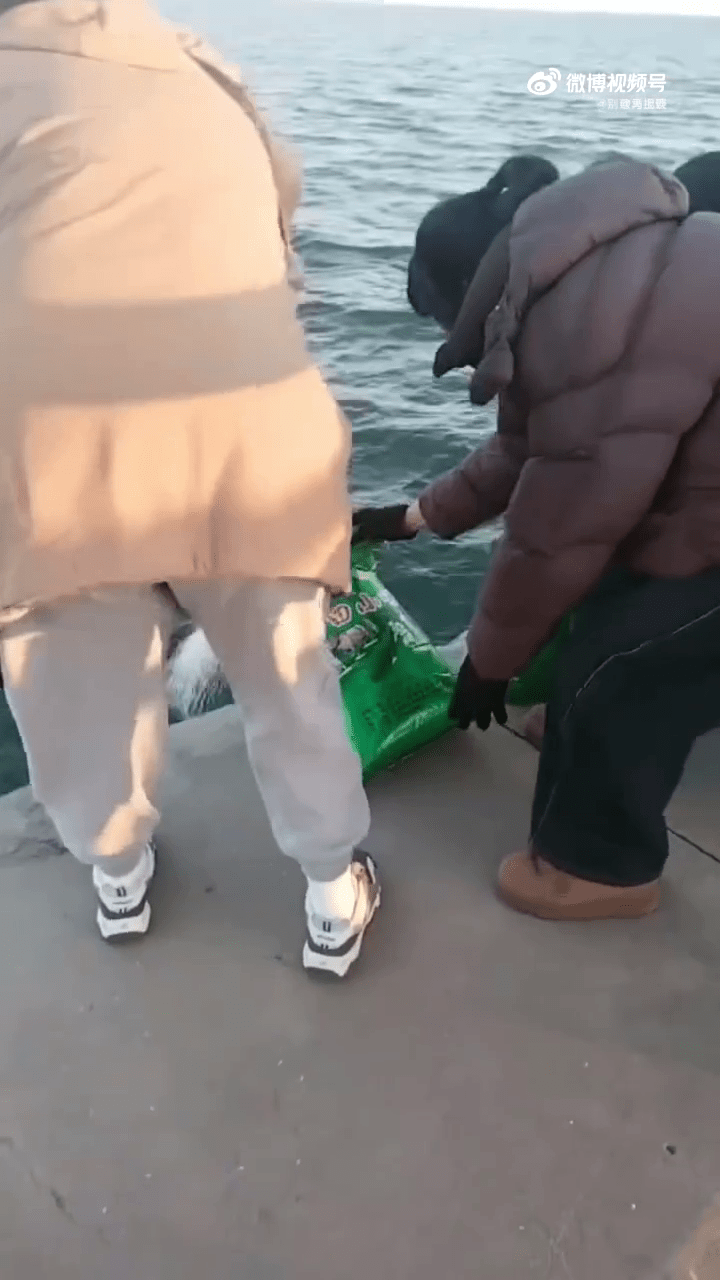 遼寧葫蘆島多人海邊「放生大米」。 遼寧葫蘆島多人海邊「放生大米」。