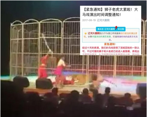 大劇院事後決定將每天3場的演出改為每天2場。網圖
