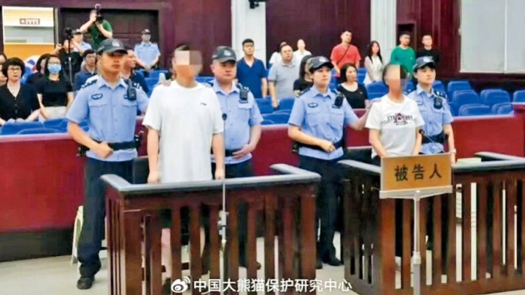 兩夫婦因造謠「大熊貓被虐待」，被判刑超1年。中國大熊貓保護研究中心