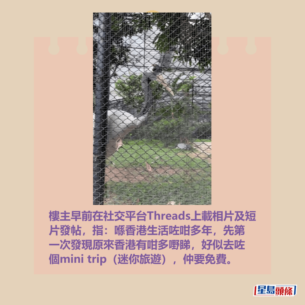 樓主早前在社交平台Threads上載相片及短 片發帖,指:喺香港生活咗咁多年,先第 一次發現原來香港有咁多嘢睇,好似去咗 個mini trip(迷你旅遊),仲要免費。Threads截圖 樓主早前在社交平台Threads上載相片及短 片發帖,指:喺香港生活咗咁多年,先第 一次發現原來香港有咁多嘢睇,好似去咗 個mini trip(迷你旅遊),仲要免費。Threads截圖