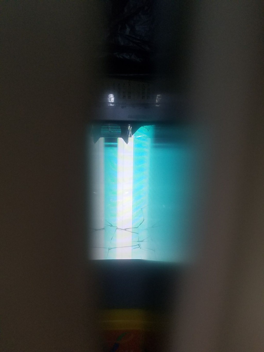 被毀壞的的自助售票機。林思明攝