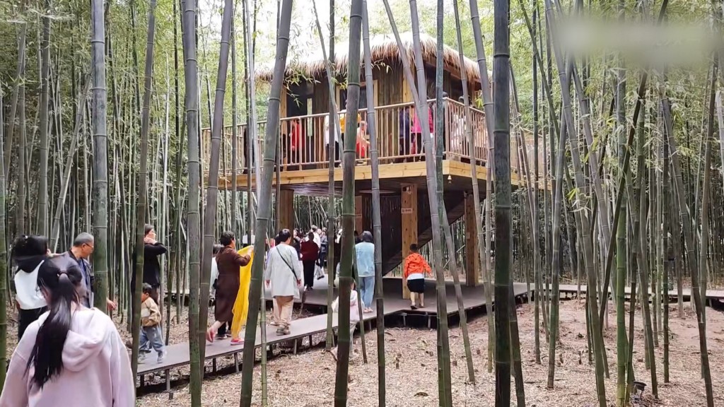 游客在「西张赶村」竹林游玩。
