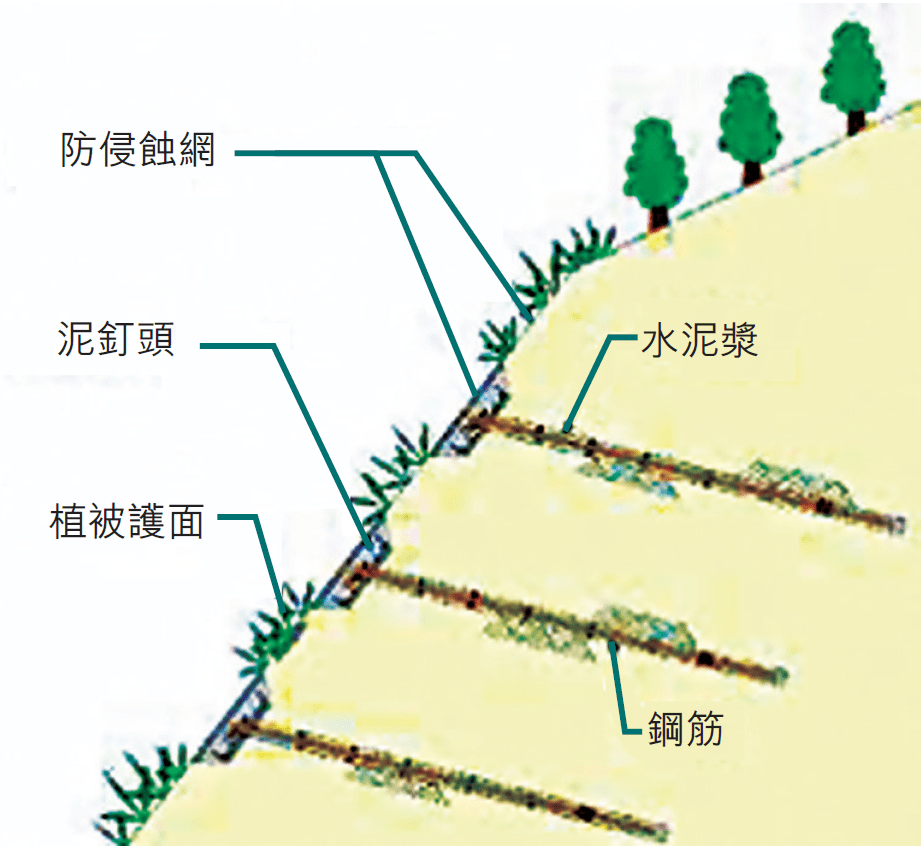 图：土力工程处提供