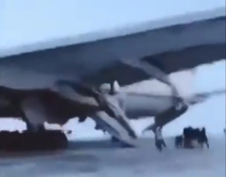 客機安全降落俄羅斯。網上圖片
