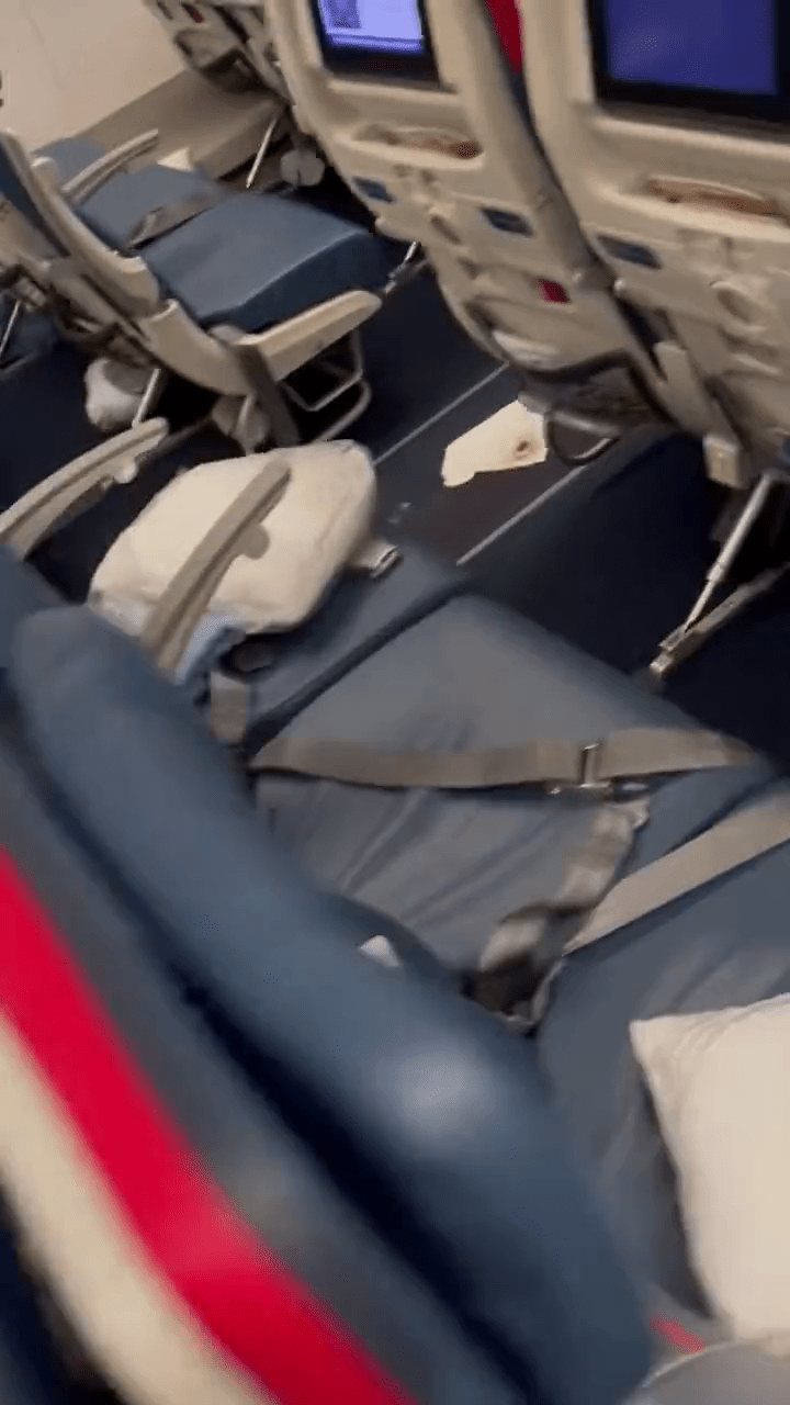网片显示达美航空客机的走廊满布粪便已被纸巾盖起来，但还是可以看到排泄物。