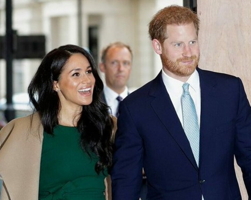 英國哈里王子和夫人梅根。網上圖片