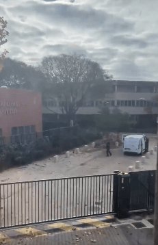 網友錄到黃金實驗室外面的情況。X@war_noir 網友錄到黃金實驗室外面的情況。X@war_noir