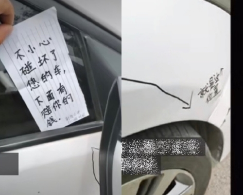 江蘇小學生撞爛私家車留23元賠償金。影片截圖