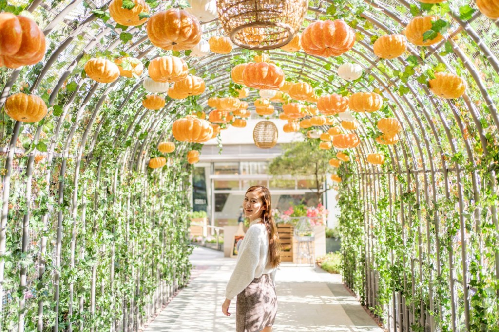 15米長南瓜光影隧道最啱打卡留念。 15米長南瓜光影隧道最啱打卡留念。