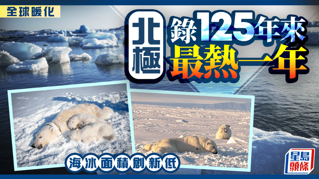 地球暖化︱北极经历125年来最热一年　海冰面积创新低