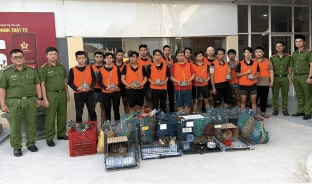 偷猫及贩卖猫只的犯罪集团，12名男子被控“盗窃财产”并遭羁押候查。越南警方图片
