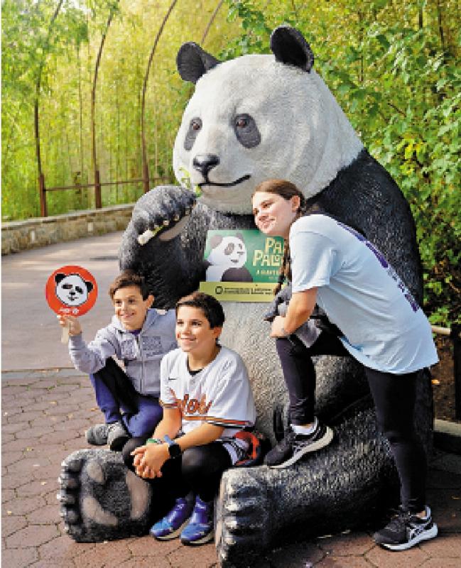 美国青少年对大熊猫十分喜爱。