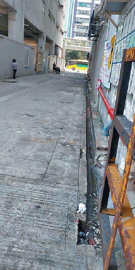 上月中，當局到葵豐街一帶執法，違規店舖立即清走後巷貨物。