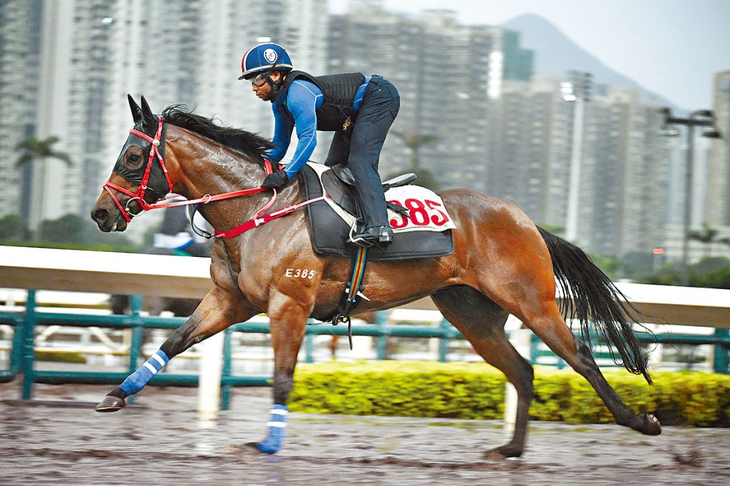 「幸運旅程」晨課上走來火力充裕，朝氣勃勃重拾勇態。