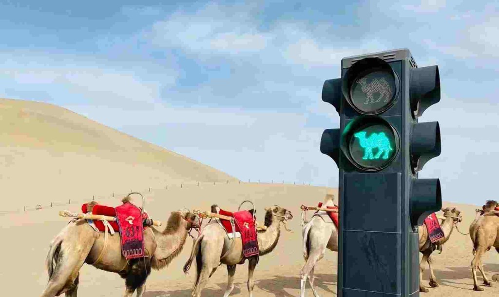大漠也設有紅綠燈。